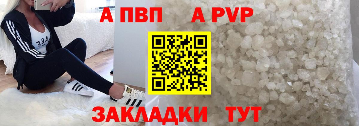 Альфа ПВП СК Балтийск