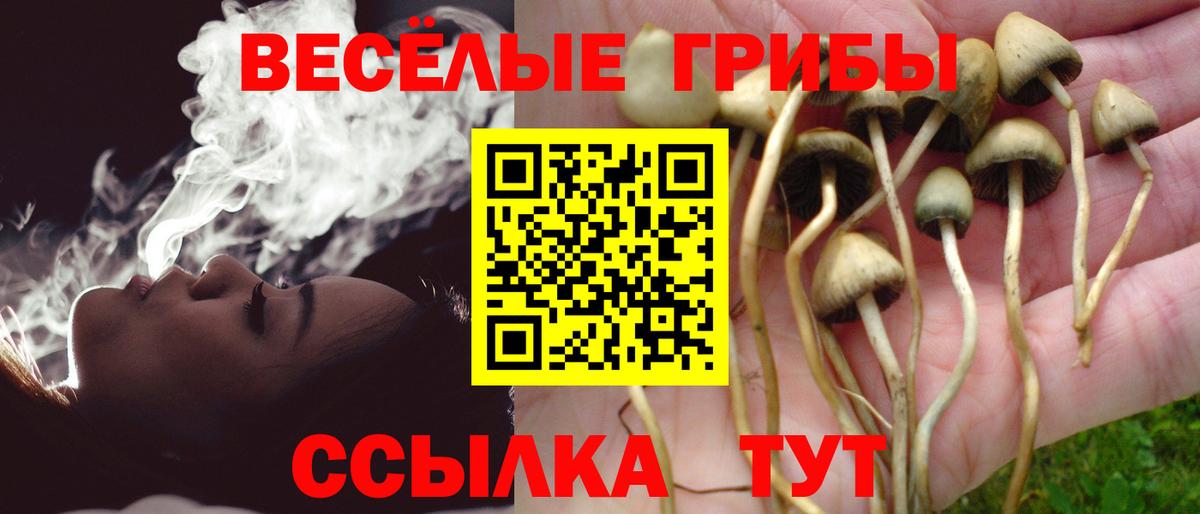 Галлюциногенные грибы прущие грибы Балтийск